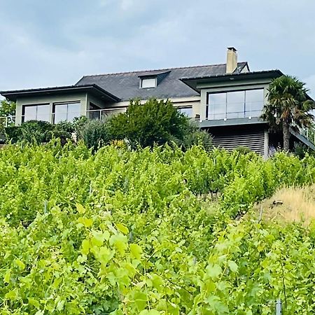 Maison Des Coteaux Blancs Chaudefonds-sur-Layon Екстериор снимка