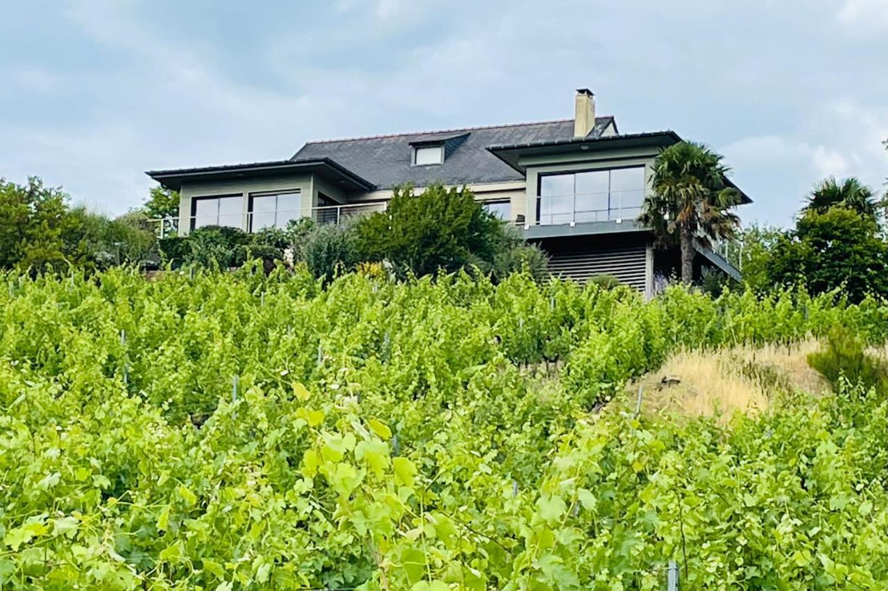 Maison Des Coteaux Blancs Chaudefonds-sur-Layon Екстериор снимка