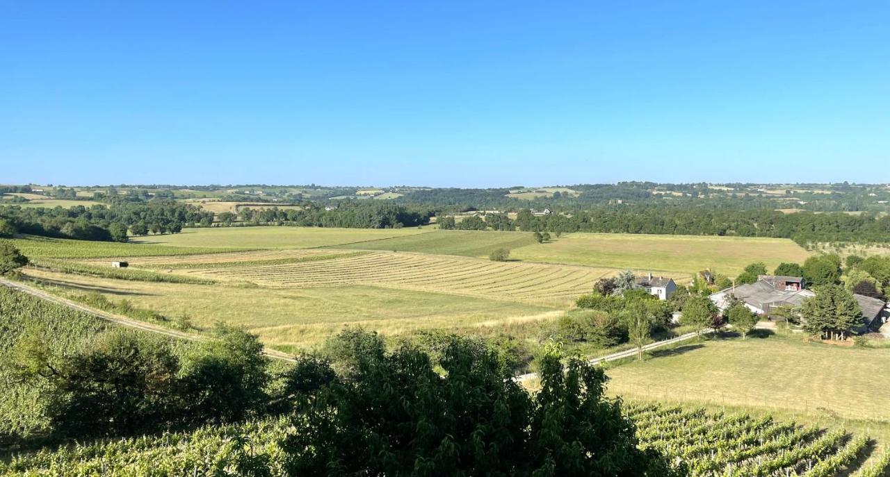 Maison Des Coteaux Blancs Chaudefonds-sur-Layon Екстериор снимка