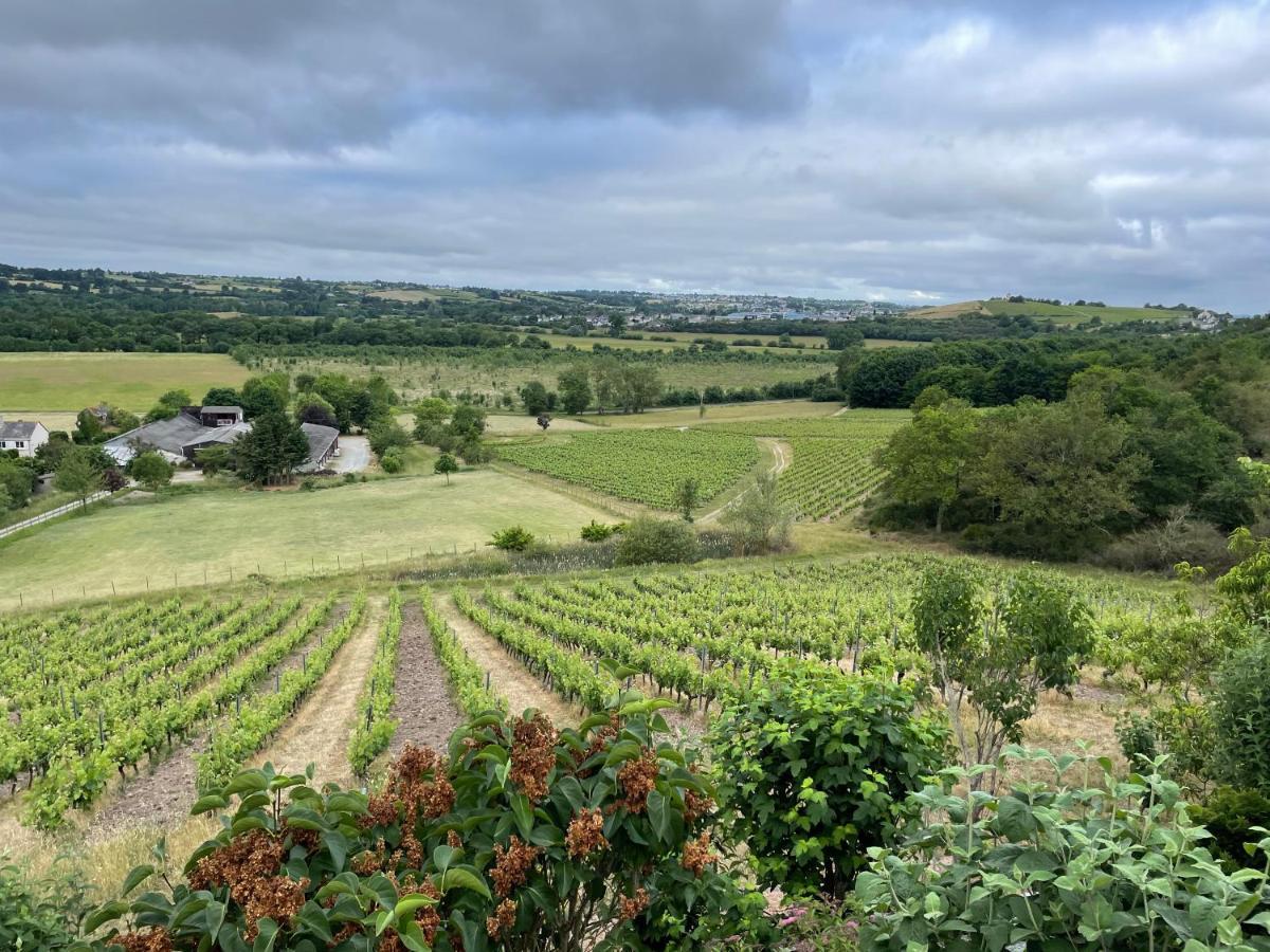 Maison Des Coteaux Blancs Chaudefonds-sur-Layon Екстериор снимка