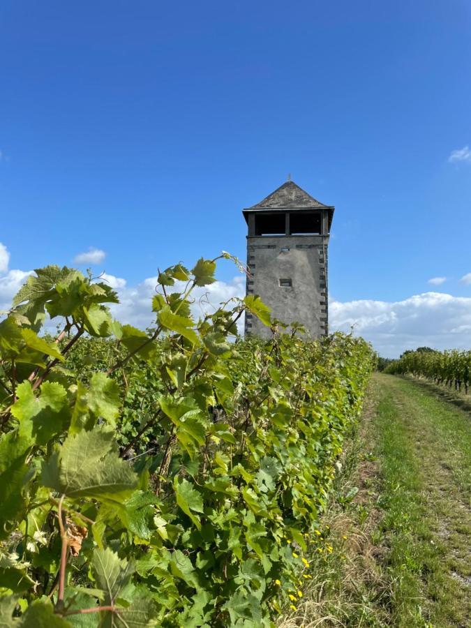 Maison Des Coteaux Blancs Chaudefonds-sur-Layon Екстериор снимка